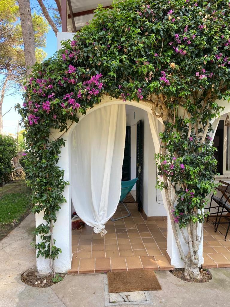 Bellver 1, Ciutadella-Cala Blanca Cala Blanca  Room photo